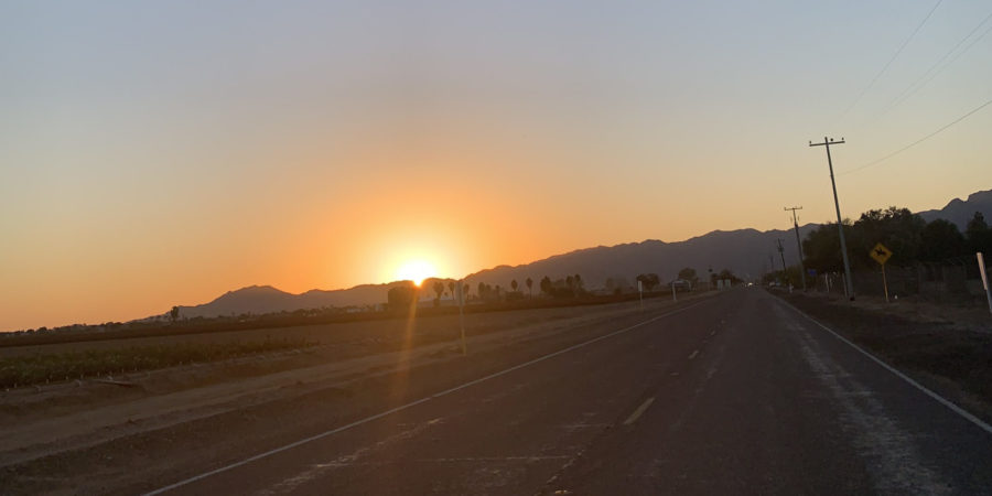 Waddell landscape